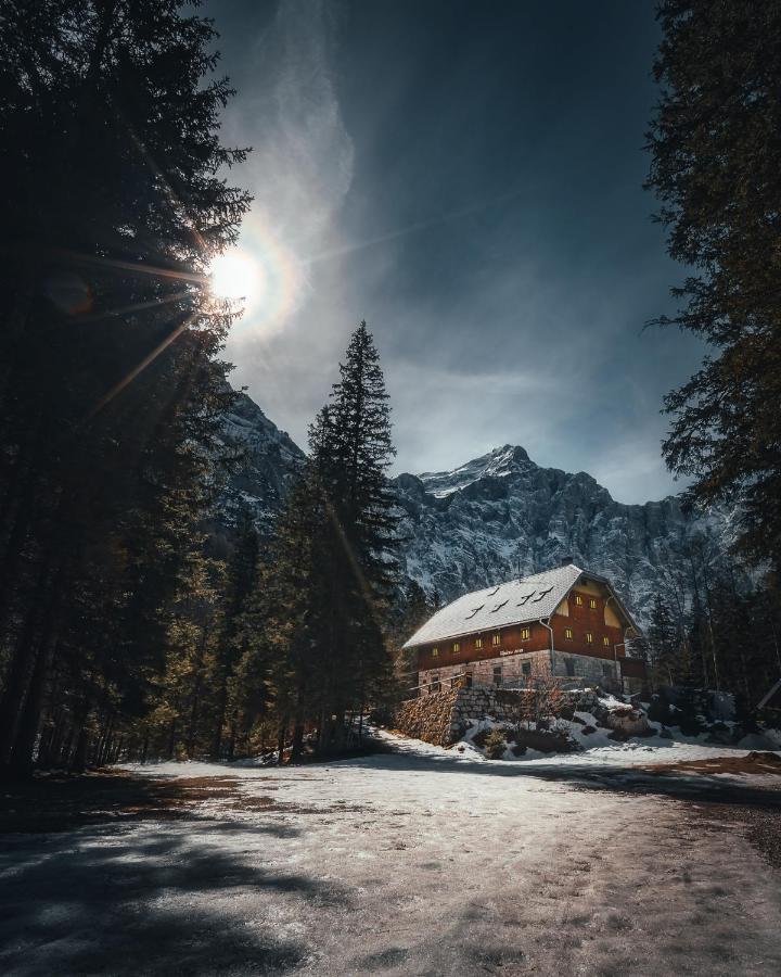 Apartma Borovc Mojstrana Exterior photo