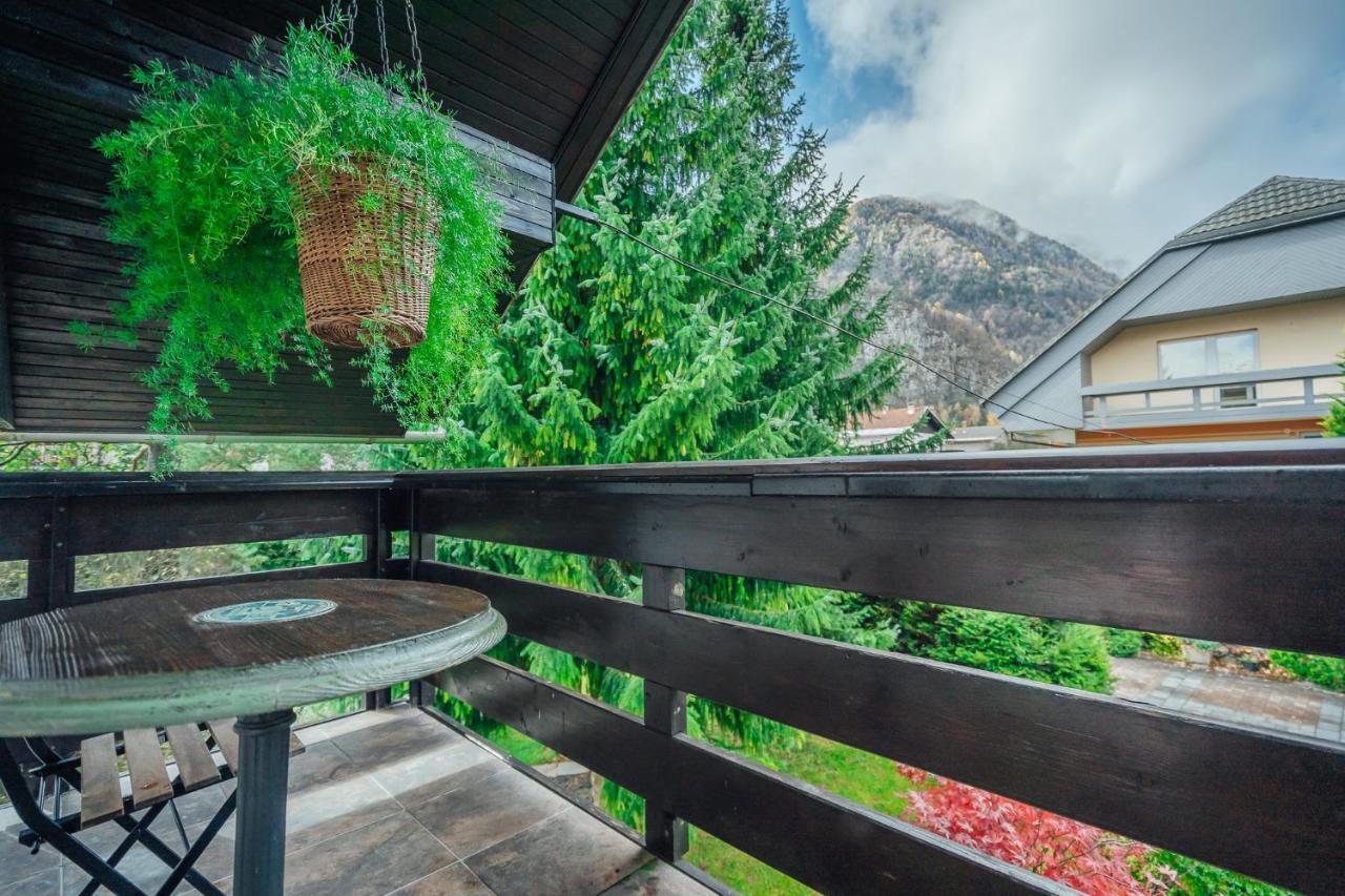 Apartma Borovc Mojstrana Exterior photo